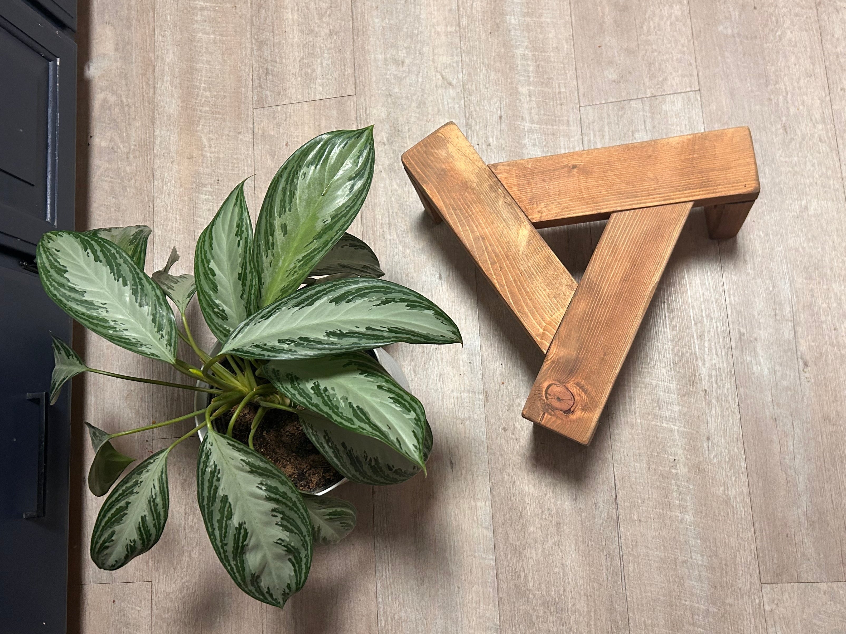 Plant Stand